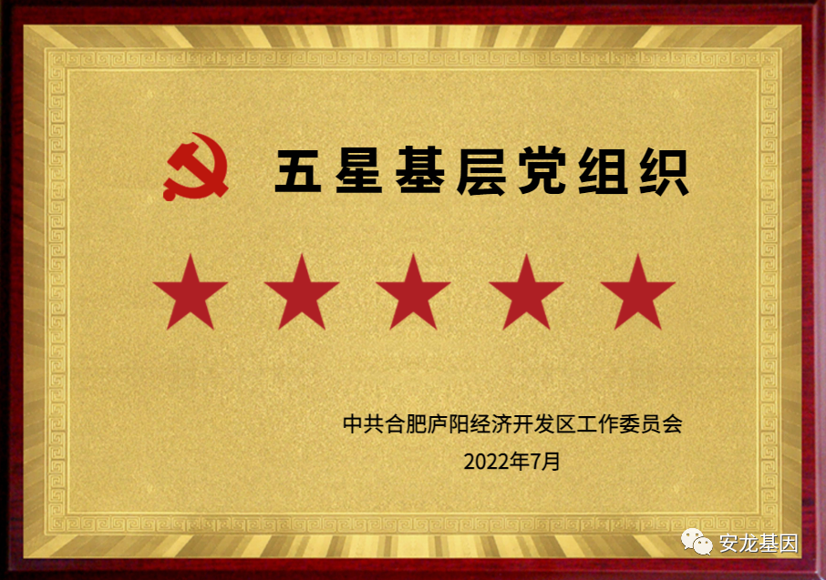 图片17.png