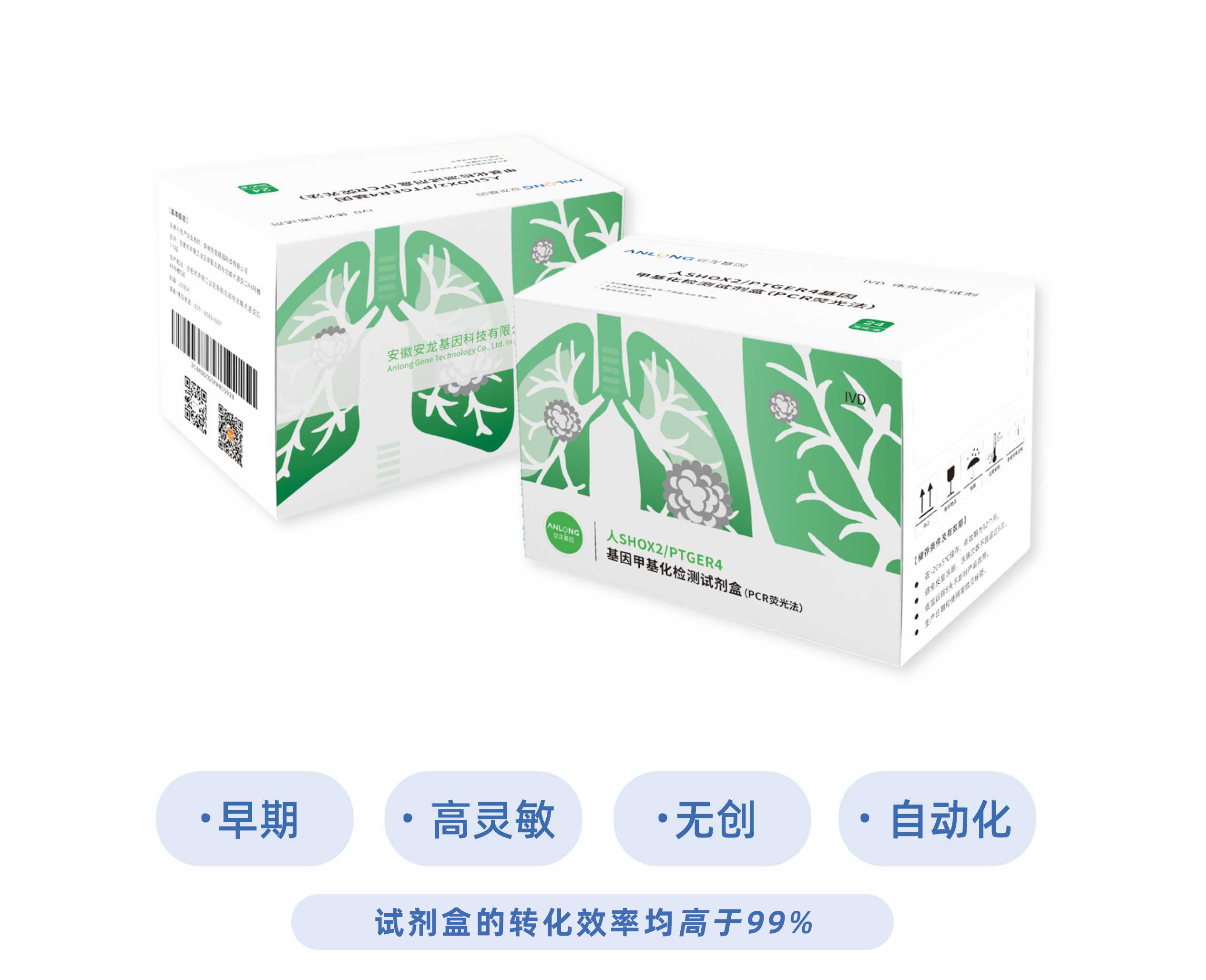 网站甲基化产品图片2.jpg